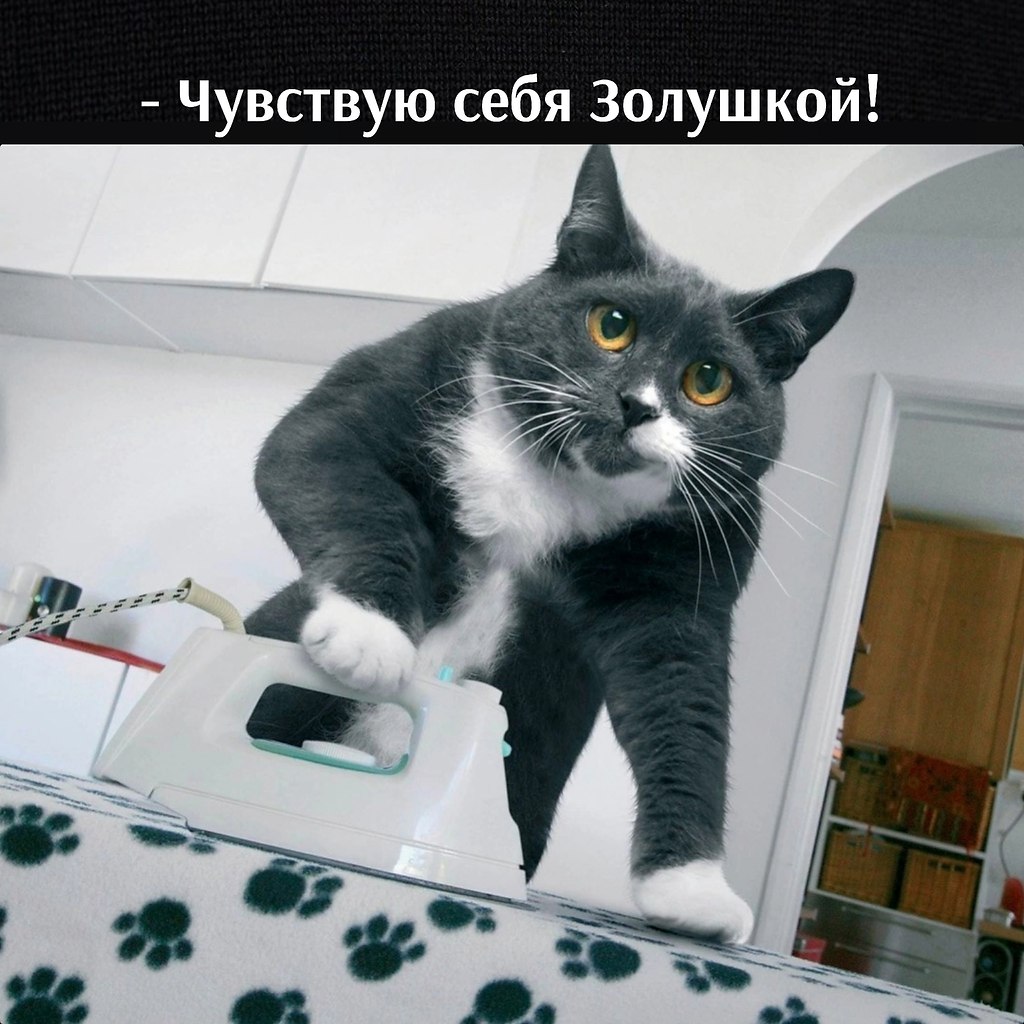       - 3  2025  12:40 - 2