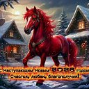 ���� Agor, ������-��-���� - ��������� 2 ������ 2026 � ������ ���� ����������