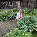 ���� �������, �����������, 58 ��� - ��������� 3 �������� 2025