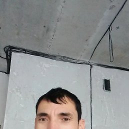 , 41, 