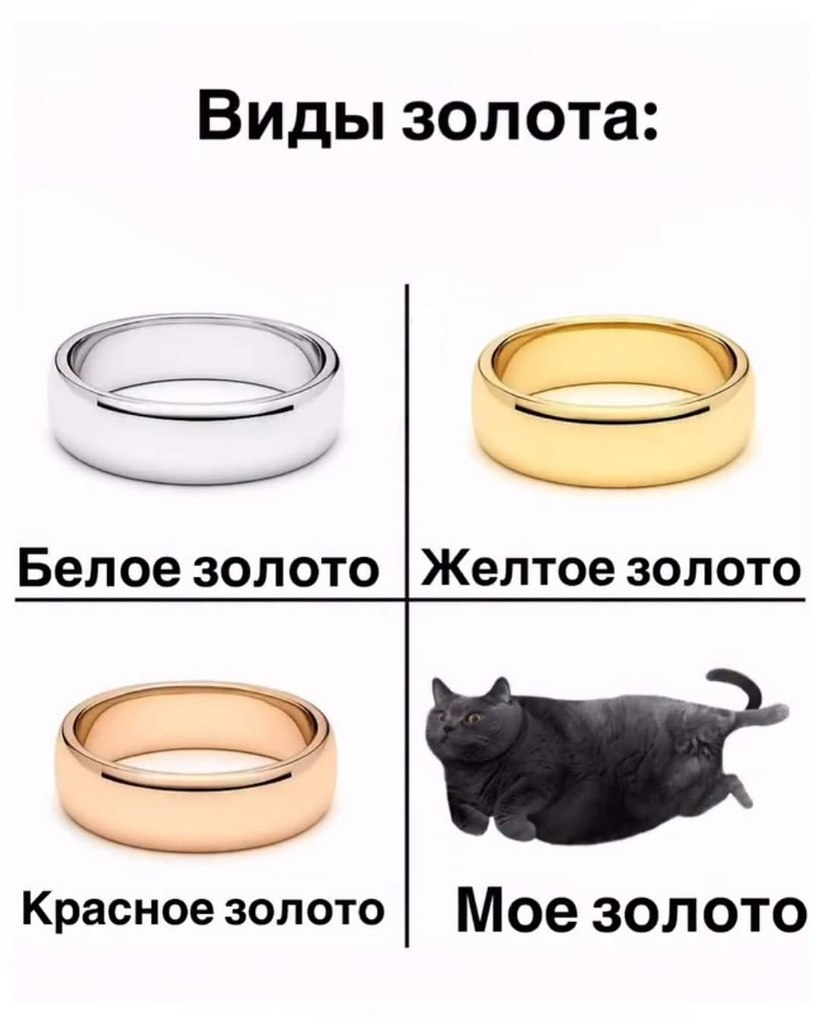 � ����... - 4 ������� 2026 � 15:10
