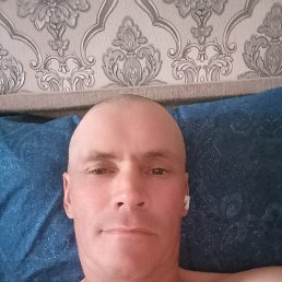 , 41, 