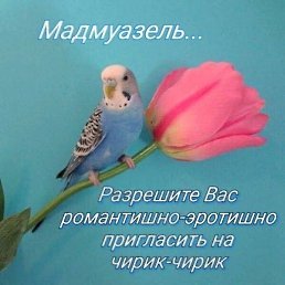 ���� ��������, ����� �������, 55 ��� - ��������� 1 ������ 2023