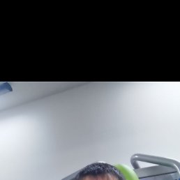 , 37, 
