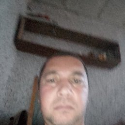 ���� ���������, �����, 39 ��� - ��������� 30 ������� 2023