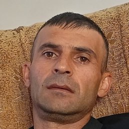 Hayk, ������, 43 ����