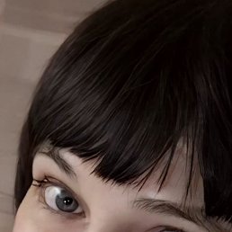 ���� ������, ����, 46 ��� - ��������� 26 ���� 2026