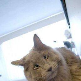 Фото Мариша!, Санкт-Петербург - добавлено 24 апреля 2025