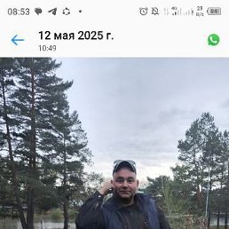 , 41 , 
