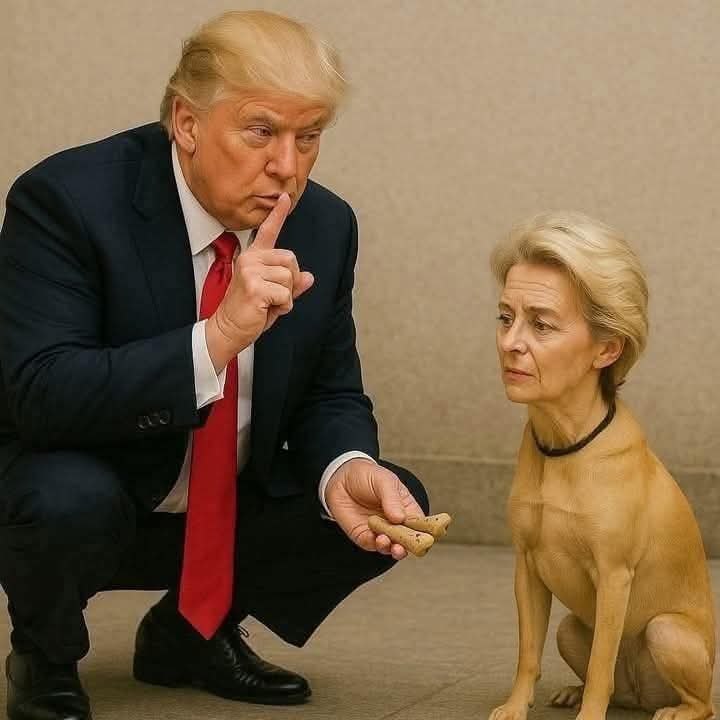 :) ....  .. )))
