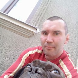 , 43, 