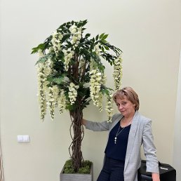 ���� ��������, ������, 49 ��� - ��������� 7 ������� 2026