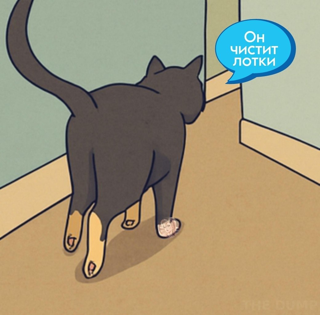 so`quiet - 4