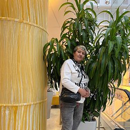 ��������, ������, 56 ���