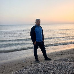 , 54, 