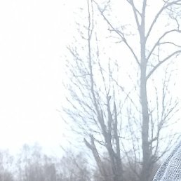 ����, ������, 37 ���