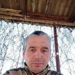 , 41, ,  