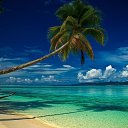 ���� �����, ��������� - ��������� 28 ��� 2024 � ������ ���� ����������