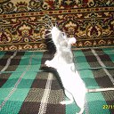 ���� �������, �������, 72 ���� - ��������� 12 ������ 2025 � ������ ������ ��������