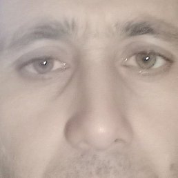 �����, ����, 41 ���