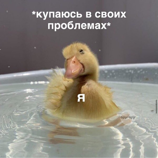    - 16  2024  20:31