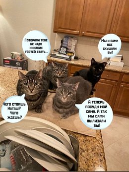 �����������