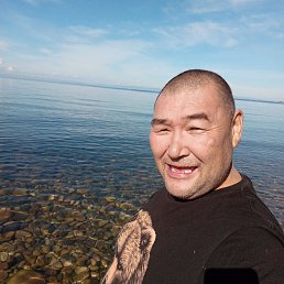 , 42, 