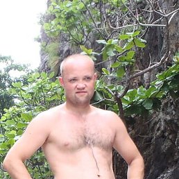 , 41, 