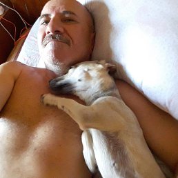 ���� Adamarc, �������, 51 ��� - ��������� 6 ������� 2024