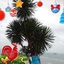 ���� �������, ������, 51 ��� - ��������� 26 ������� 2023 � ������ ���� ����������