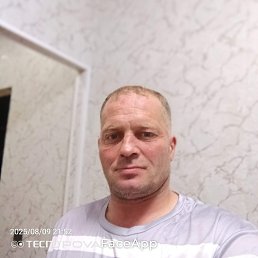 ������, 43 ����, �����������