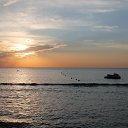 ���� �����, ������������, 46 ��� - ��������� 23 �������� 2024 � ������ �������� ����