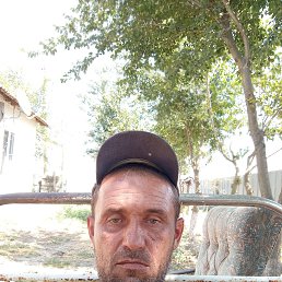 , 41, 