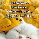 ���� �����, �����-���������, 40 ��� - ��������� 3 �������� 2025