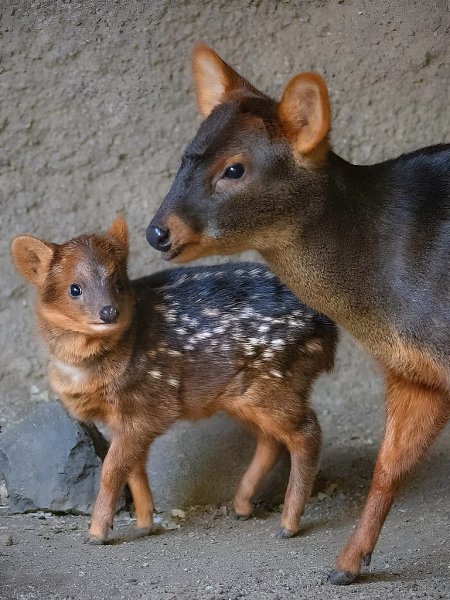   -     .  3     . - 3