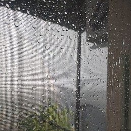 �������, �������, 76 ���