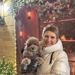 ���� �����, ����� - ��������� 2 ������ 2026