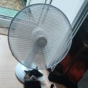 ���� �����, ������-��-����, 50 ��� - ��������� 12 ������ 2025 � ������ ������ ��������