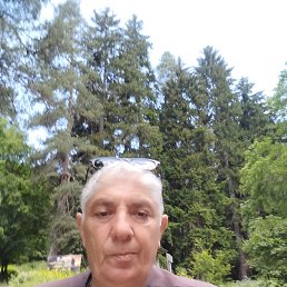 , 63, 