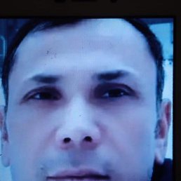 ���� �����, ���������, 43 ���� - ��������� 13 ������ 2024