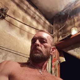 , 42, 