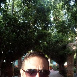 , 41, 