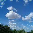 ���� ������, ��������, 104 ���� - ��������� 12 ������ 2025 � ������ ������ ��������