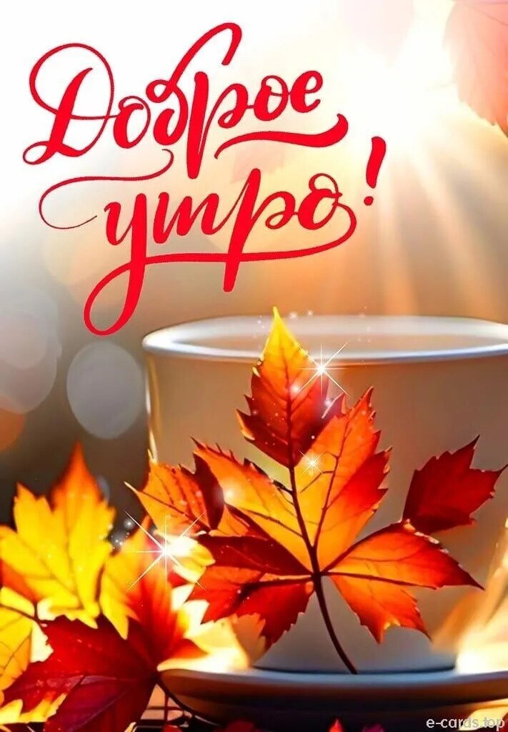 ***Victoria Viktorovna*** - 13  2025  03:54