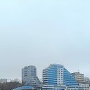 ���� �������, ������, 43 ���� - ��������� 23 ������� 2023 � ������ ���� ����������
