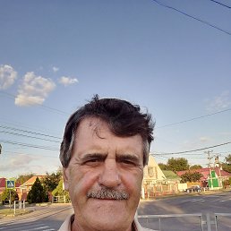 , 62, 