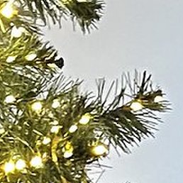 �����, �������, 38 ���