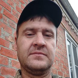 ������ ��������, ���������, 37 ���