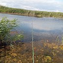 ���� �������, ��������� - ��������� 29 ���� 2025 � ������ ��������