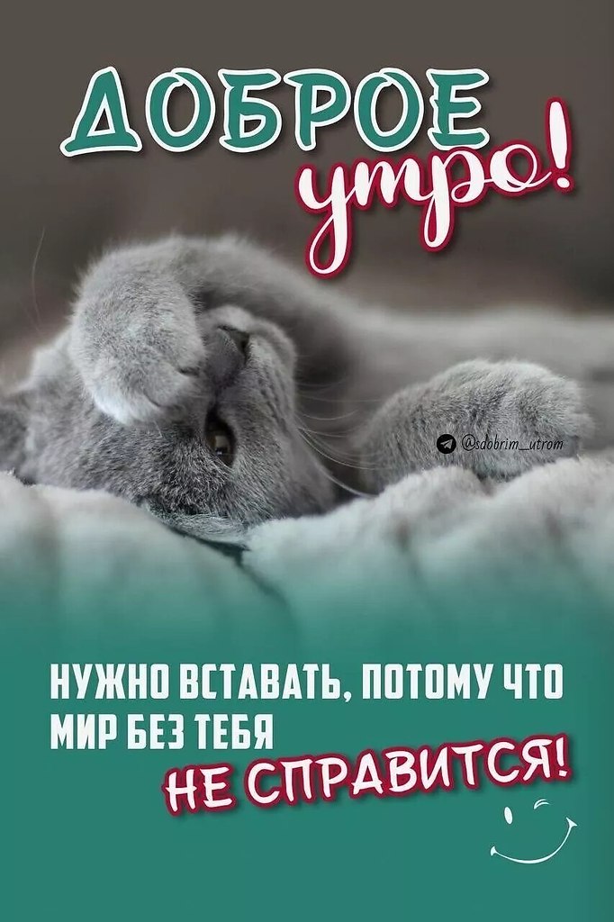 ₪╬═►  ||  ||  ◄═╬₪ - 15  2024  06:47
